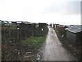 Allotments, Easington Colliery in Easington Colliery