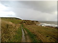 Coastal Path near Easington Colliery in SR8 3UX
