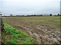 Tyre tracks at the northern edge of an arable field in High Coniscliffe