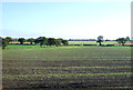 Farmland north east of Elford in B79 9DJ