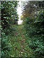 Bridleway to Lower Farm in MK18 5NP