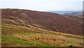 Head of Kirk Hope in EH45 9JU