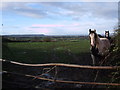 View over Dauntsey Vale from Callow Hill, Brinkworth in SN15 5FD