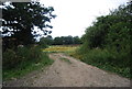 Track off Tilden Lane in TN12 9AX