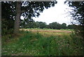 Farmland off Tilden Lane in TN12 9AX