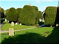 Eastern churchyard, Church of St Mary, Painswick in GL6 6QA