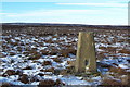 Mark Hill Trig in Stonebeck Down