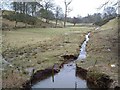 Stream near Tillyrie in KY13 0AE