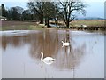 Flooded Field at Ballingall in KY13 0RH