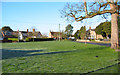 Village green, Wrenbury in CW5 8HB