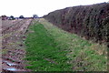 Field hedgerow near Sherington in MK16 9NQ