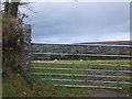 Gate, sheep and the Tavy valley in PL19 9NN