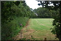 Hedge and ditch near Chain Dene Farm in TN12 9AX