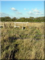 Stile on the path to Emberton in MK46 5DH