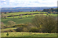 Fields north of Bwlch-mawr in LD1 6EH