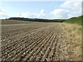 Footpath Field And Forest in CB21 4DZ