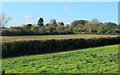 2012 : Over field and hedgerow to a small cemetery in BA4 6HU