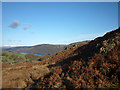 Bracken and rock outcrops, Blawith Fells in LA12 8DW