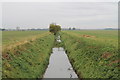 Todhill Drain off Parson Drove in Billinghay Rural Ward