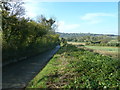 Lane descent to East Marden in PO18 9JB