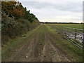 Bridleway leading towards High Hauxley in Amble By the Sea