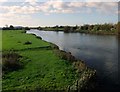 The Trent downstream of Willington Bridge in DE65 6RY