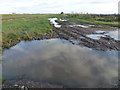Muddy and wet - Jone's Drove, Benwick Road, Whittlesey in PE7 2HT