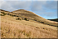 Lower slopes of Ben Thrush in FK14 7JY