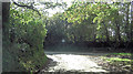 Unnamed Y-junction south of Horneywink Wood in TR10 9FL