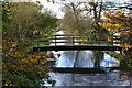 River Ebble looking upstream from Nunton Bridge in SP5 4EE