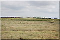 Marshes, Paglesham Creek in SS4 2EX