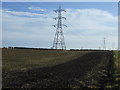 Farmland and pylon line in SR7 9DL
