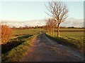 Footpath to Winston Hall and church in IP14 6BG
