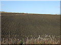 Farmland east of Murton in SR7 9LX