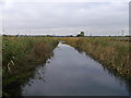 Drain in Rainham Marshes in RM13 9YB