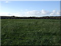 Farmland towards the coastal railway in SR7 0PB