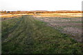 Drain runs through stubble field in Clifton Reynes