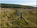 Moorland fence above Rhu in G84 8LP