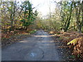 Byway 'Forest Row 59E' approaching the A22 in RH18 5LN