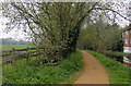 Path by the River Stour, Sudbury in CO10 7HJ