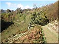 Hillside path, above Wootton Courtenay in TA24 8RA