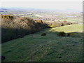 Fields and woodland above Upper Heldre in Trewern Community