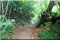 Footpath up the North Downs Scarp Slope, Scrub Wood in ME2 1JQ