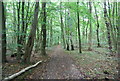 North Downs Way, Wingate Wood in ME2 1FW
