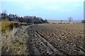 Farmland west of the hamlet of Carr in S66 8PT