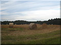 Straw bales in a field in Beeston Lane in NR13 6NB