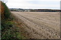 Looking over the stubble field toward Olney Hyde in MK46 4DU