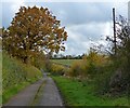 Autumn along Houghton Lane in LE7 9GB