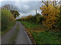 Autumn colours along Houghton Lane in LE7 9GB