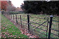 Iron gate into a tiny paddock in Cold Brayfield